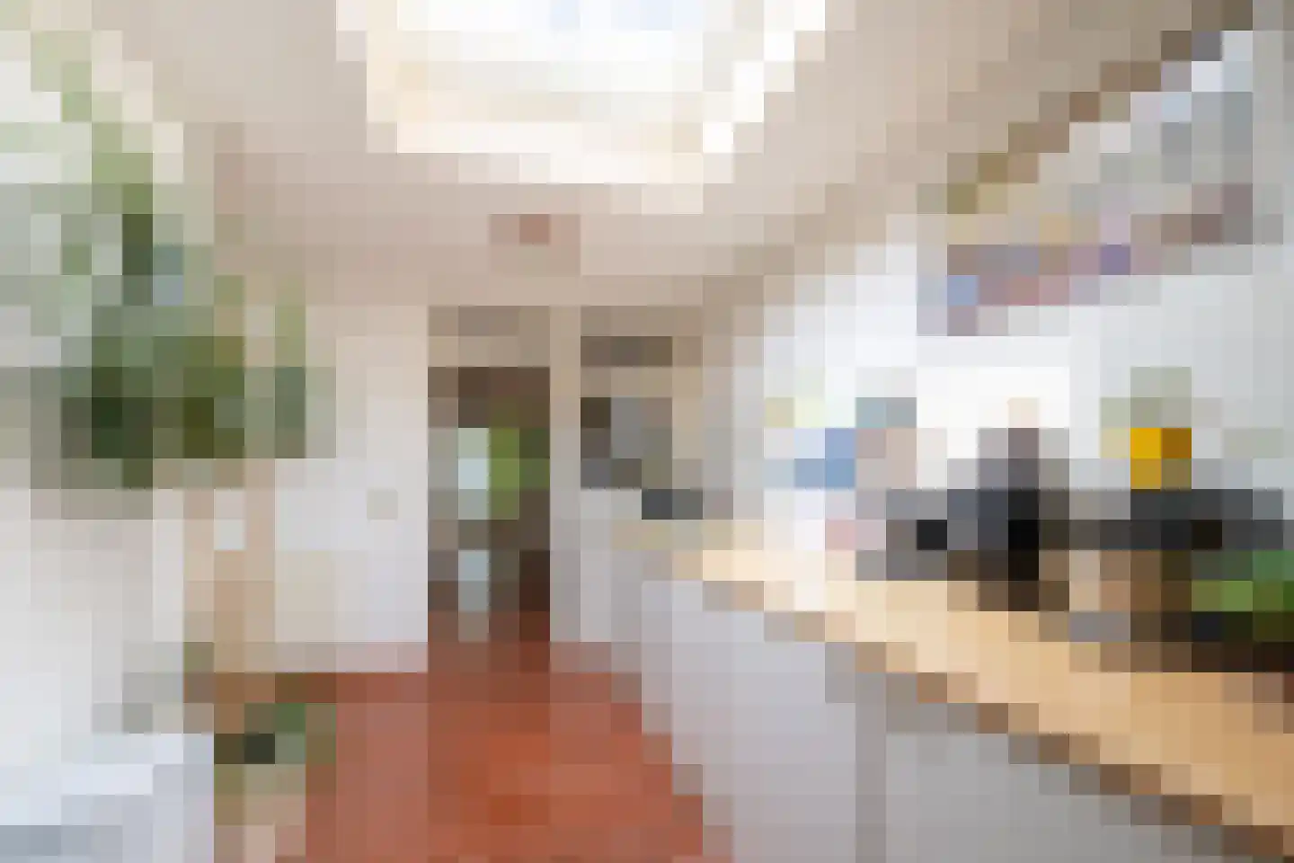 Kwartelstraat 16 Goor thumbnail 6