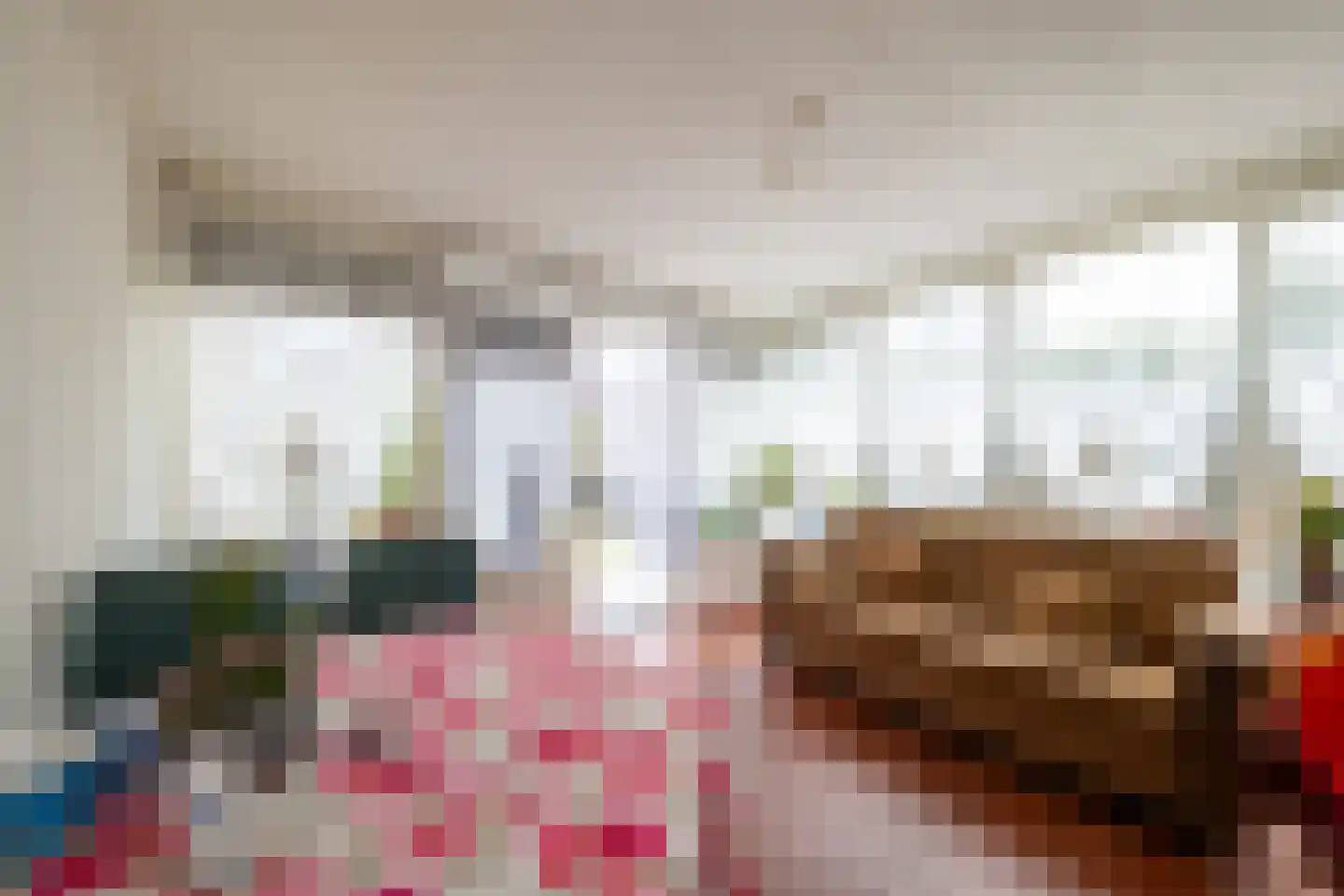 Kwartelstraat 16 Goor thumbnail 8