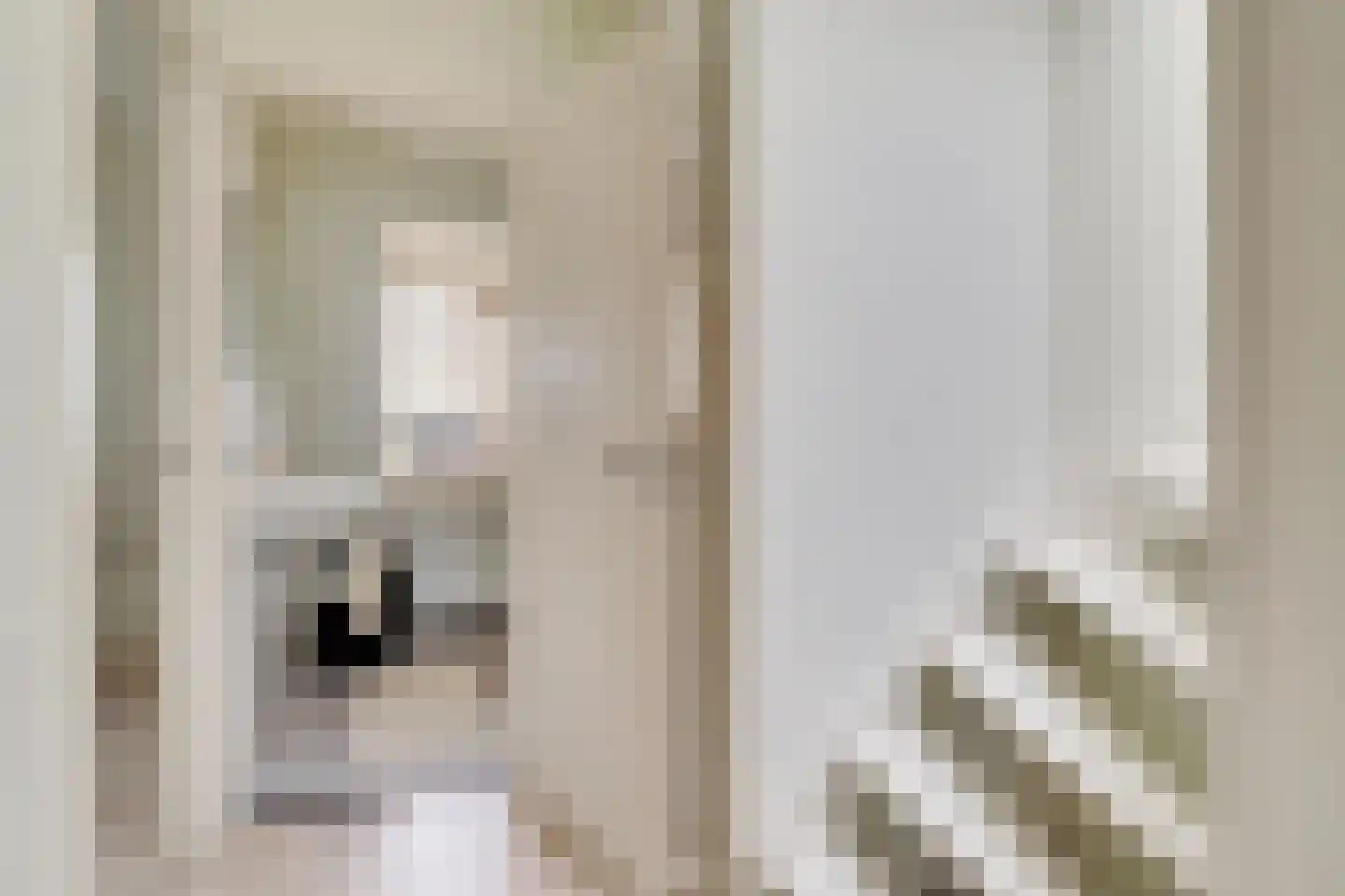 Kwartelstraat 2 D Utrecht thumbnail 15