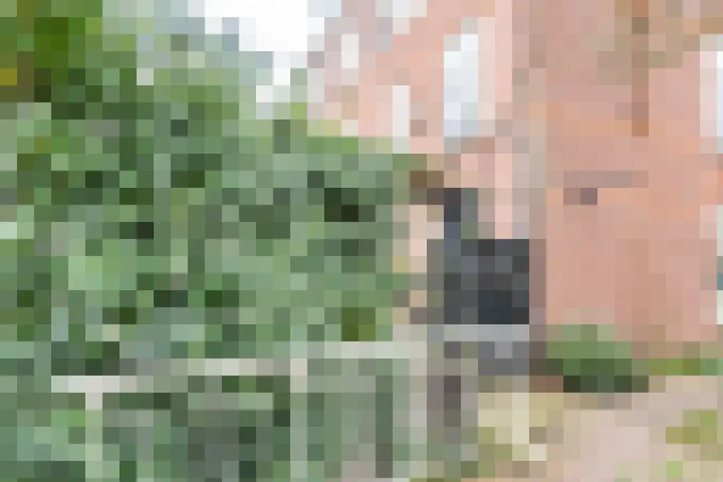 Kwartelstraat 2 D Utrecht thumbnail 26