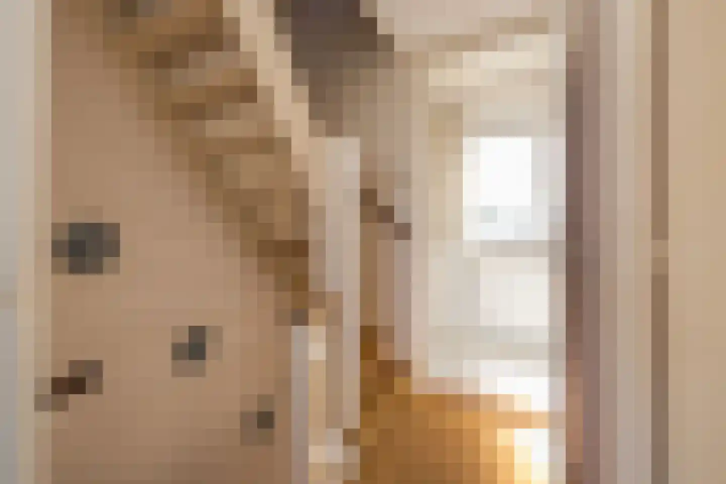 Kwartelstraat 21 Lisse thumbnail 21