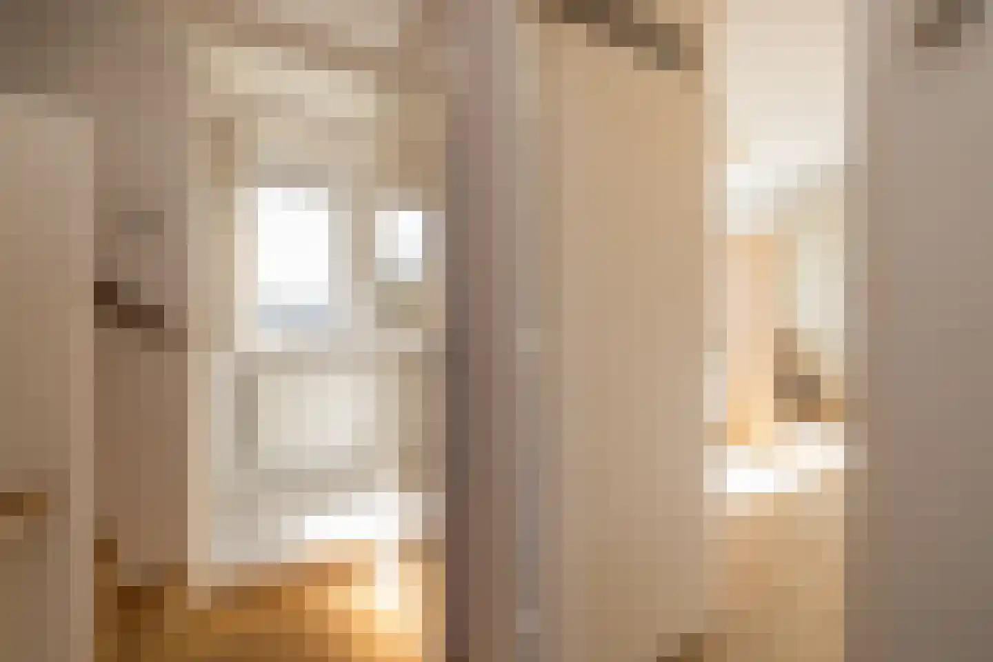 Kwartelstraat 21 Lisse thumbnail 22