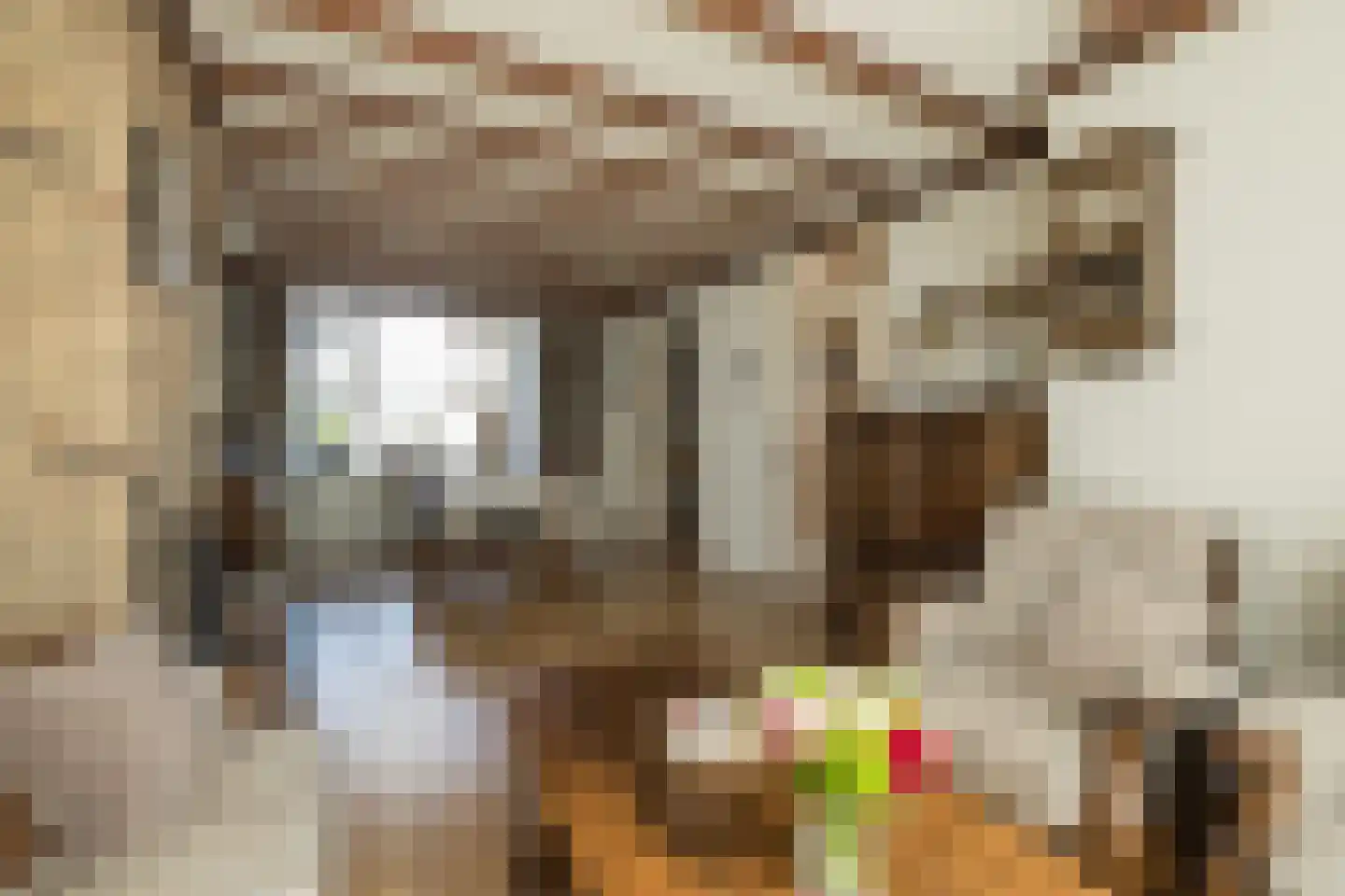 Kwartelstraat 21 Lisse thumbnail 9