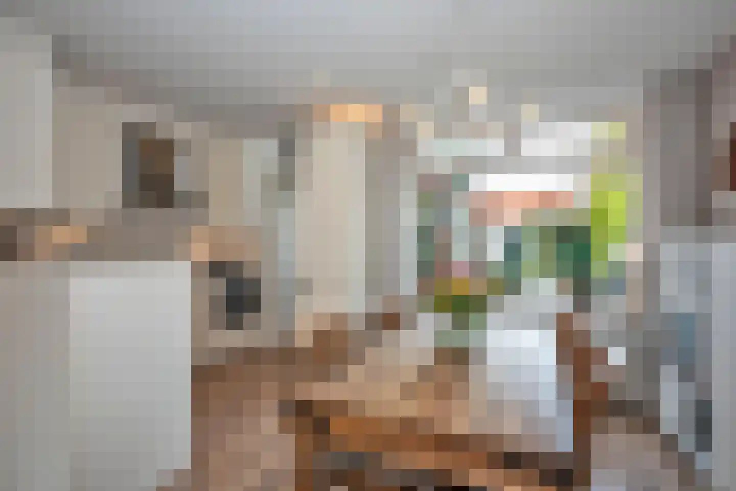 Kwartelstraat 22 Hengelo thumbnail 12