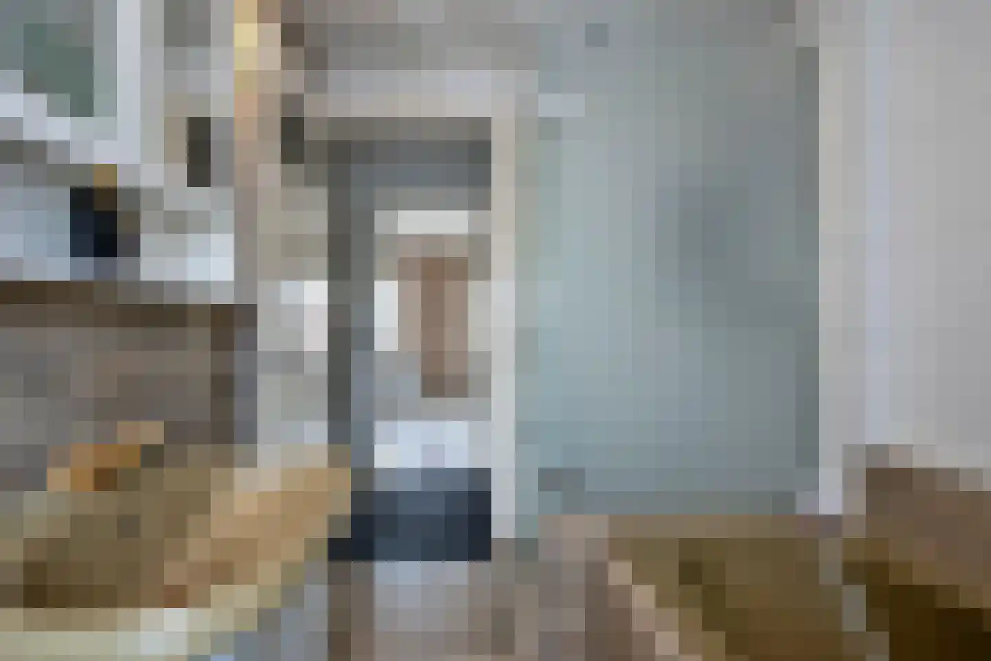 Kwartelstraat 22 Hengelo thumbnail 23