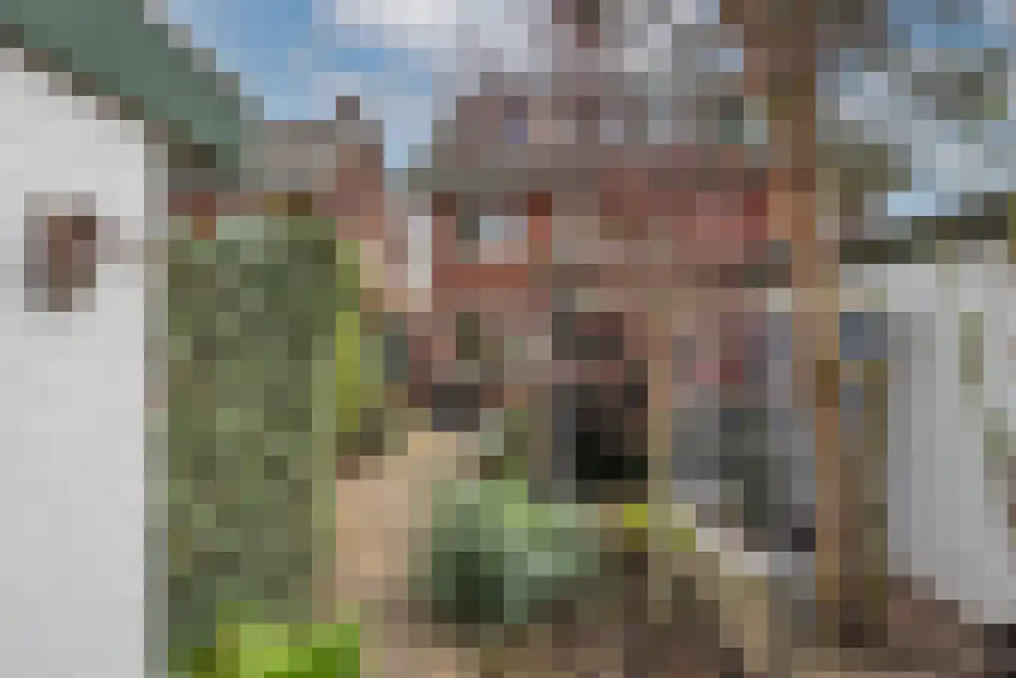 Kwartelstraat 22 Hengelo thumbnail 31