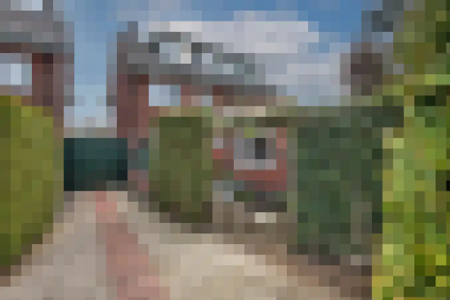 Kwartelstraat 22 Hengelo thumbnail 33