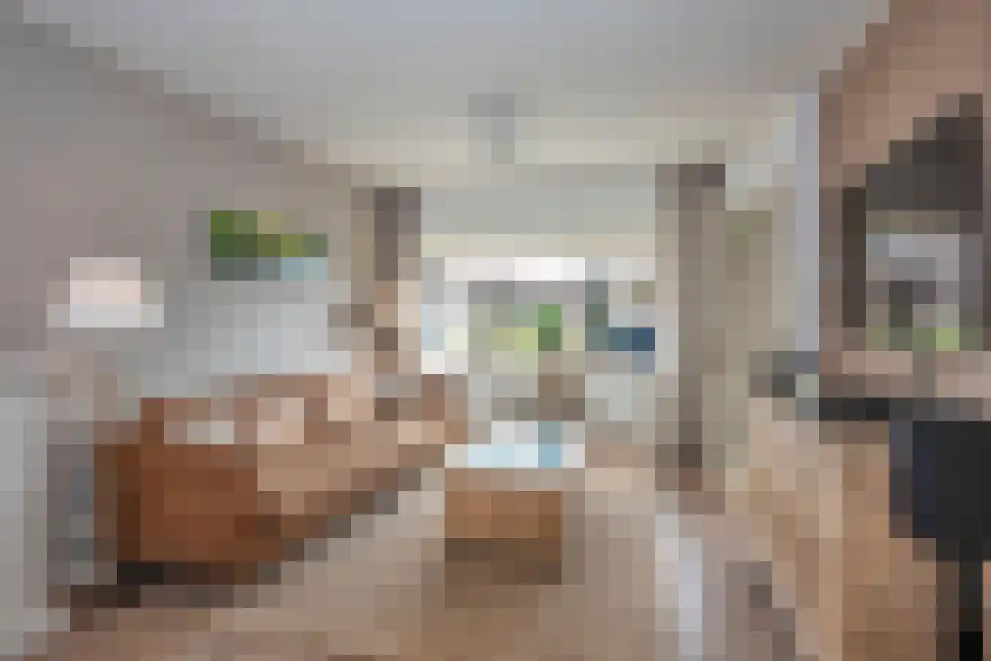 Kwartelstraat 22 Hengelo thumbnail 7