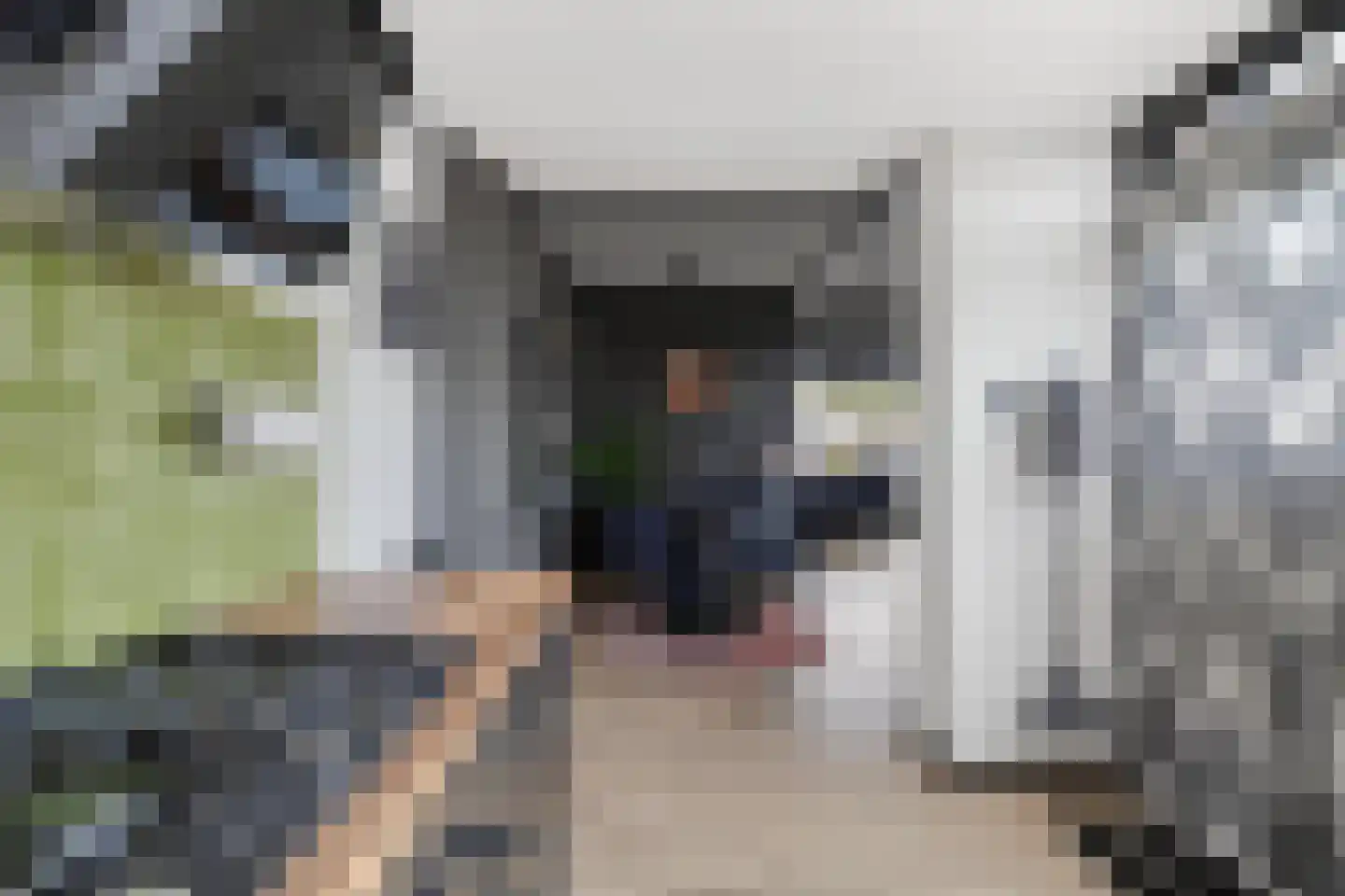 Kwartelstraat 23 Lisse thumbnail 15