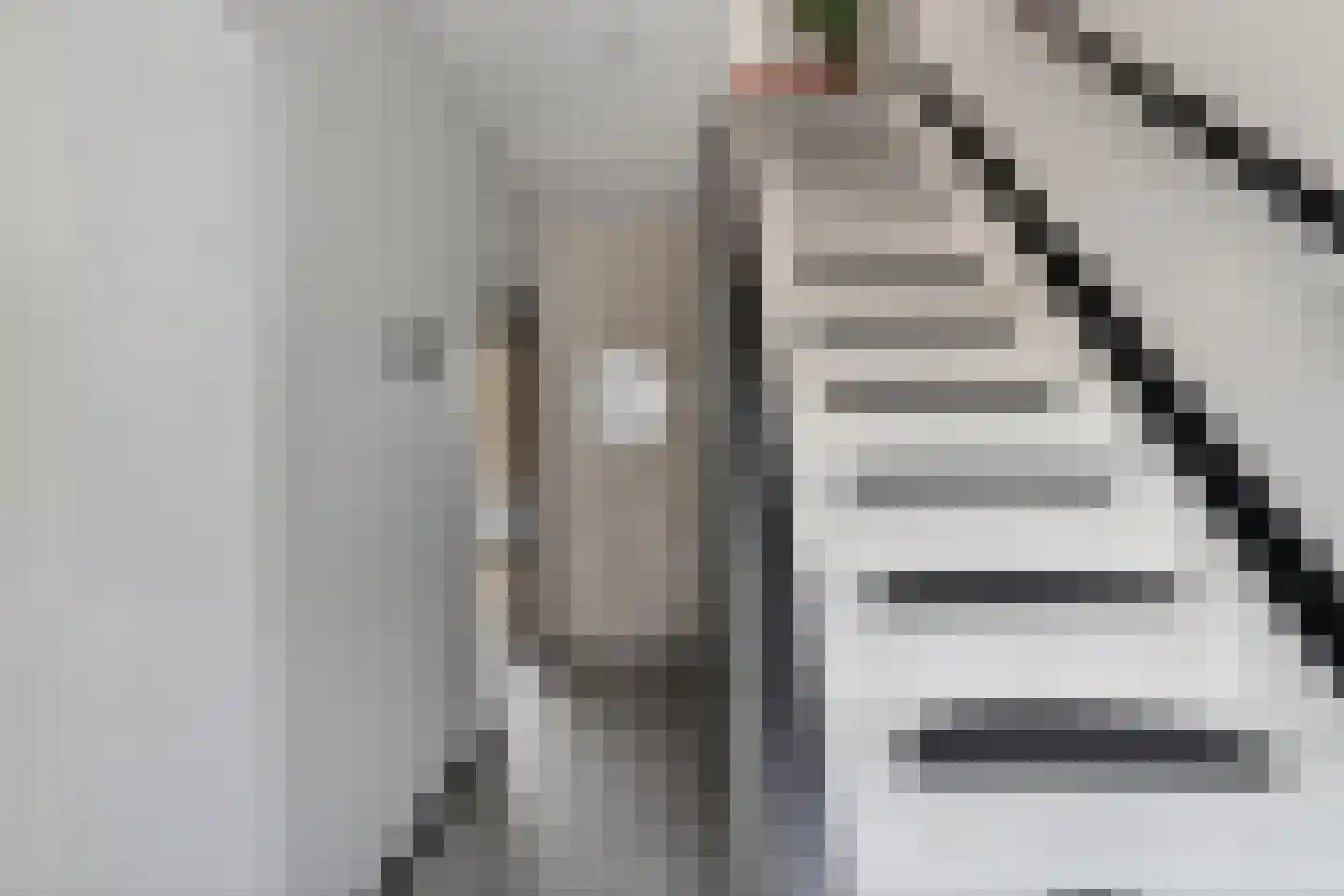 Kwartelstraat 23 Lisse thumbnail 17