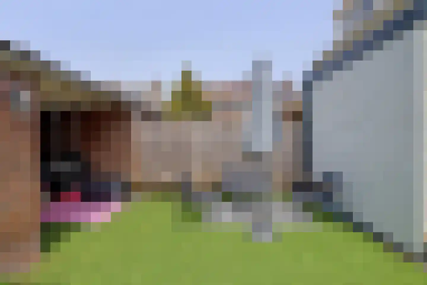 Kwartelstraat 23 Lisse thumbnail 38