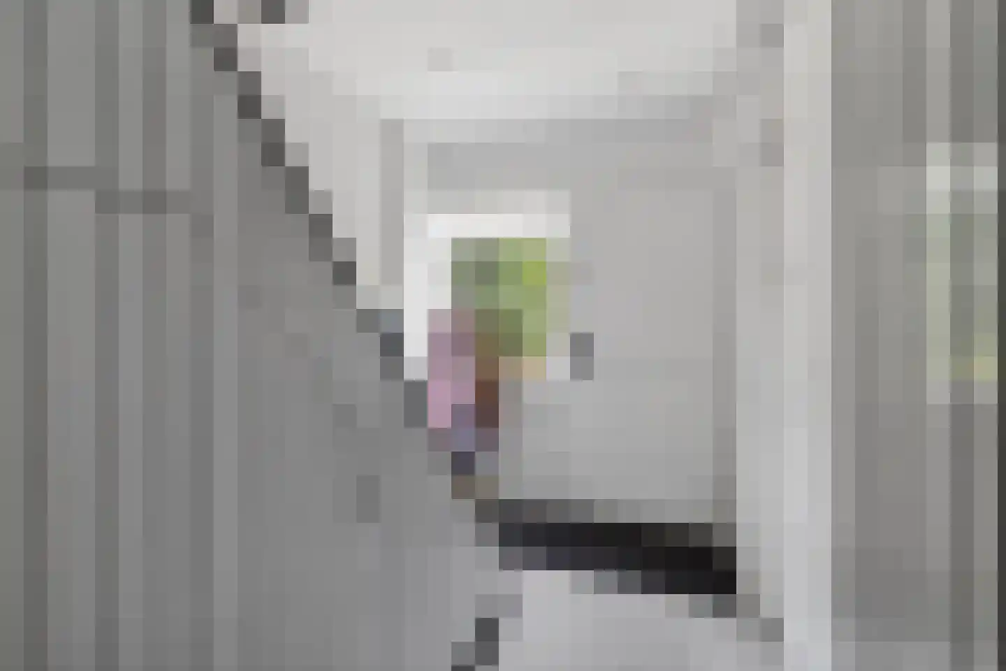Kwartelstraat 23 Lisse thumbnail 5