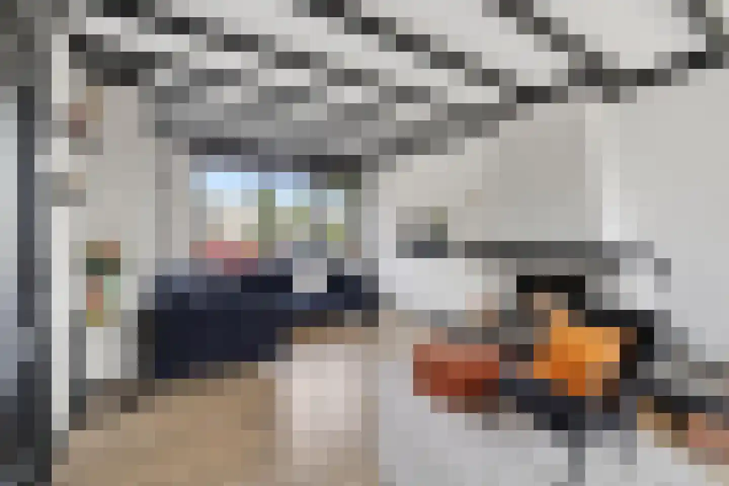 Kwartelstraat 23 Lisse thumbnail 7
