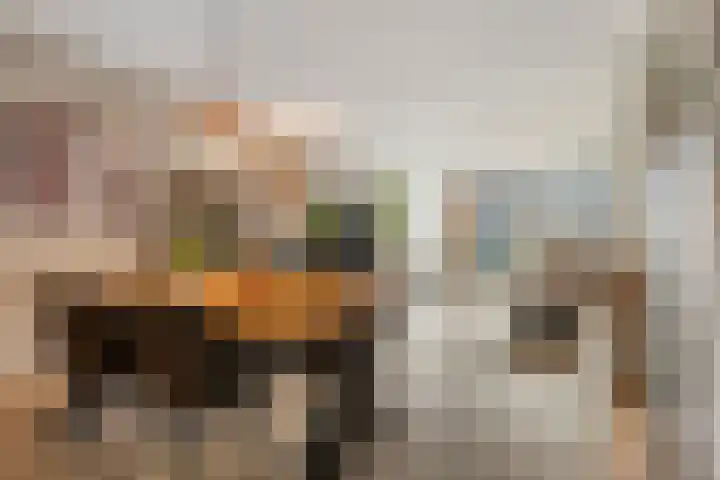 Kwartelstraat 24 Alkmaar thumbnail 14