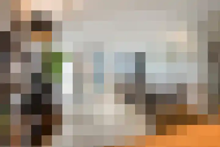 Kwartelstraat 24 Alkmaar thumbnail 18