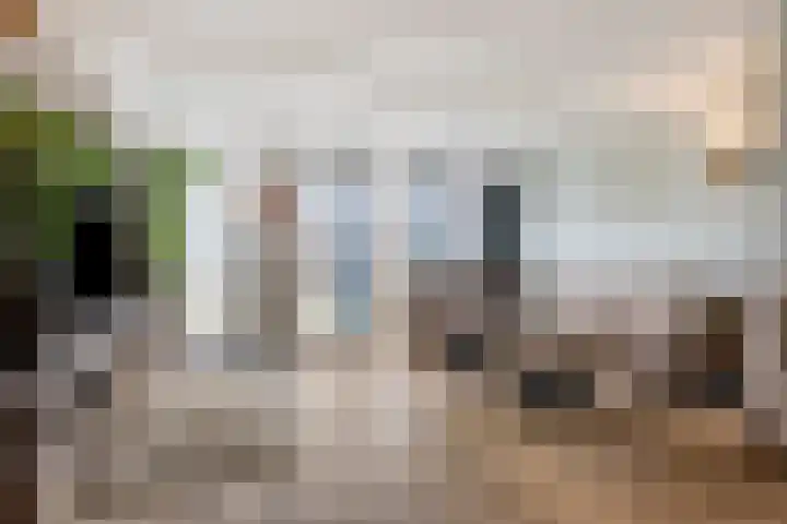 Kwartelstraat 24 Alkmaar thumbnail 19