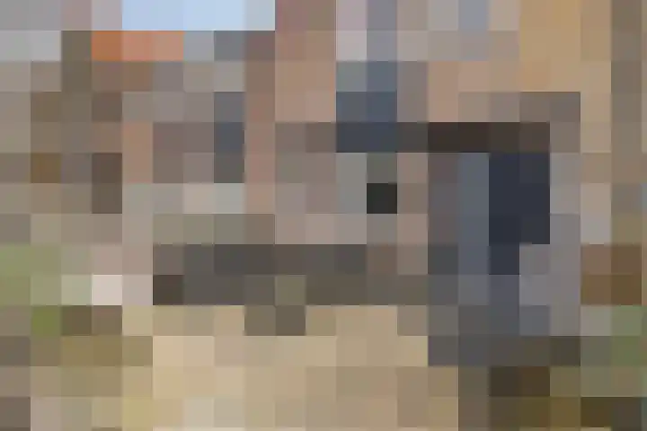 Kwartelstraat 24 Alkmaar thumbnail 8
