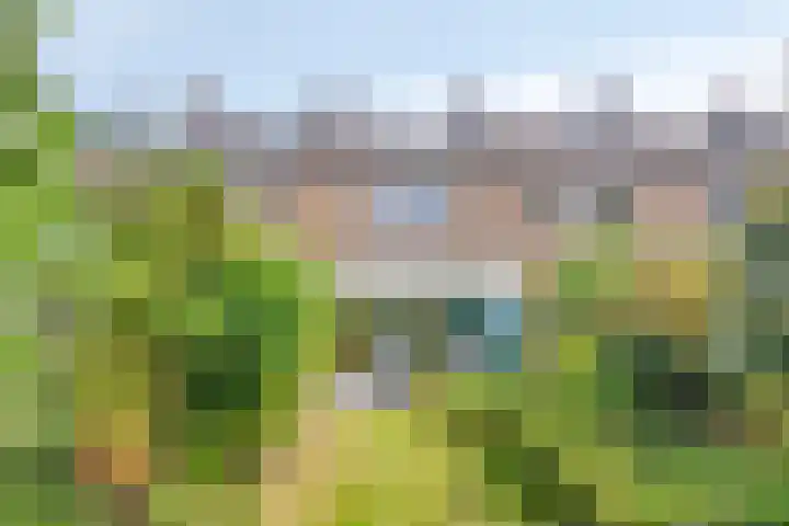 Kwartelstraat 26 Oosterhout thumbnail 35