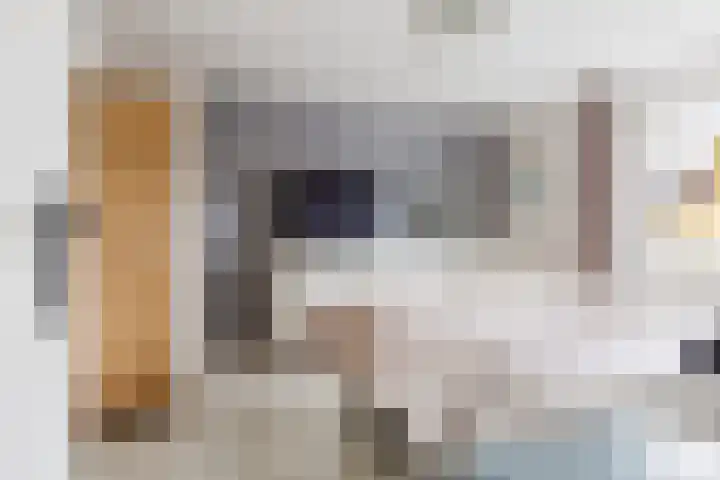 Kwartelstraat 27 Heerenveen thumbnail 31
