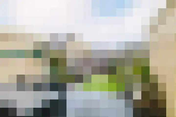 Kwartelstraat 27 Heerenveen thumbnail 36