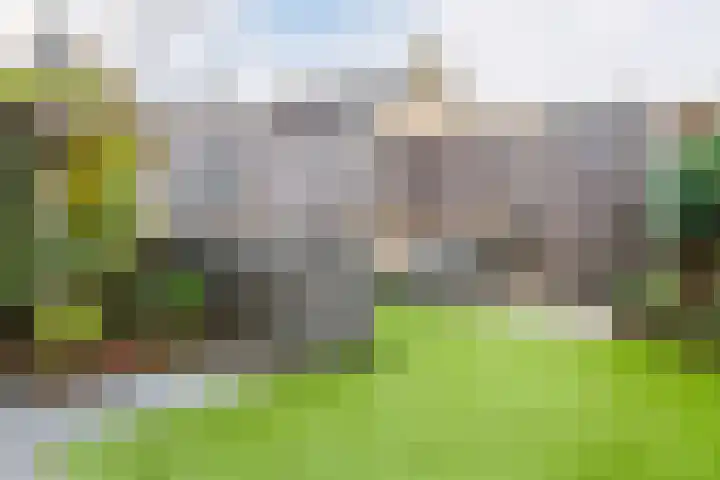 Kwartelstraat 27 Heerenveen thumbnail 37