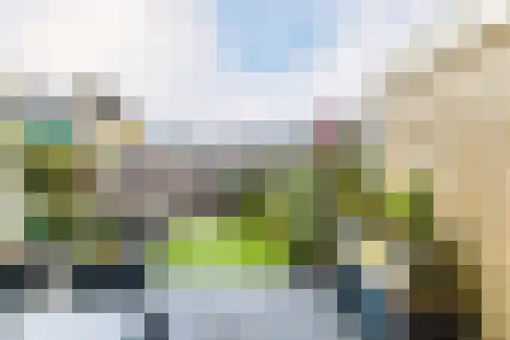 Kwartelstraat 27 Heerenveen thumbnail 39