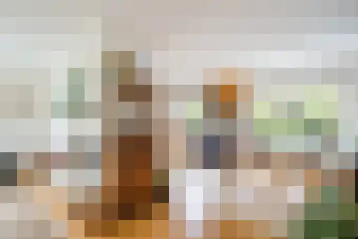 Kwartelstraat 3 Velp thumbnail 13
