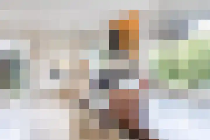 Kwartelstraat 3 Velp thumbnail 14