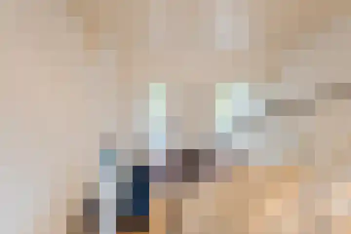 Kwartelstraat 3 Velp thumbnail 39
