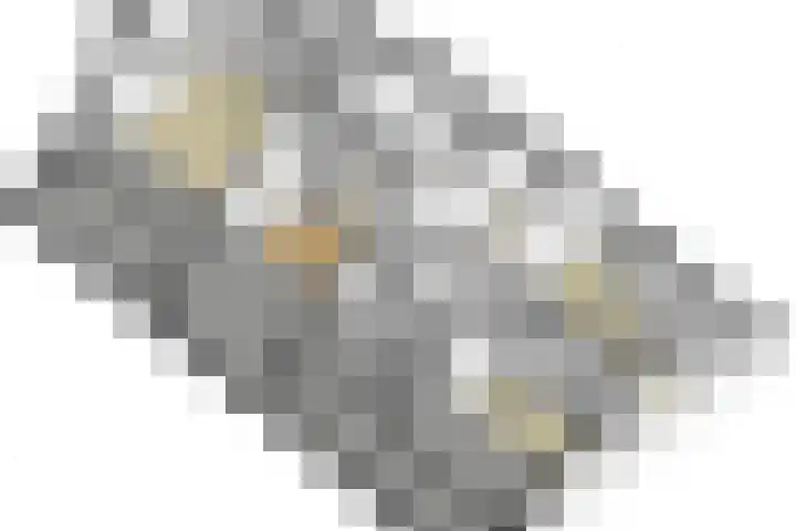 Kwartelstraat 3 Velp thumbnail 57
