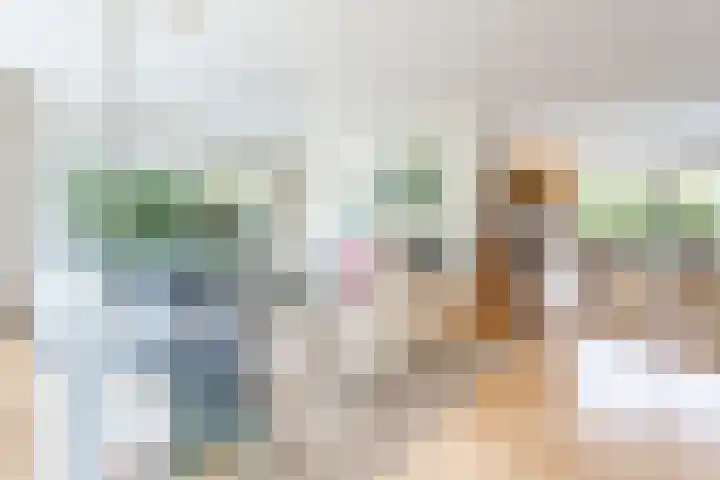 Kwartelstraat 3 Velp thumbnail 6