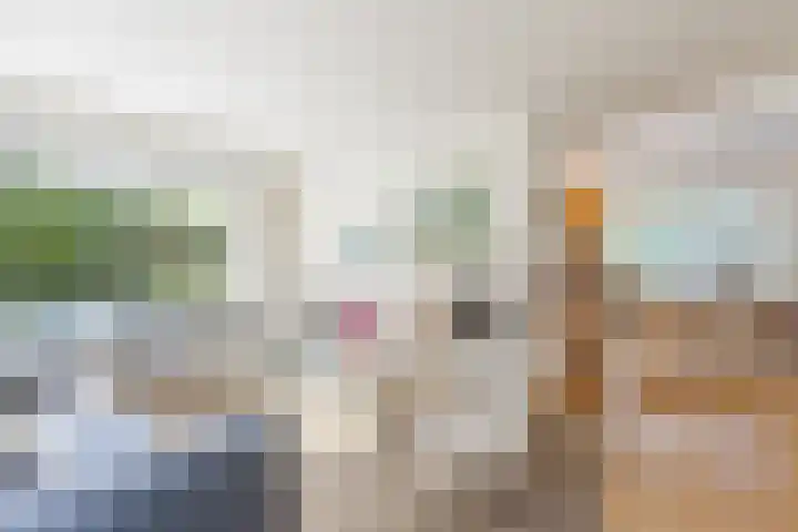 Kwartelstraat 3 Velp thumbnail 7