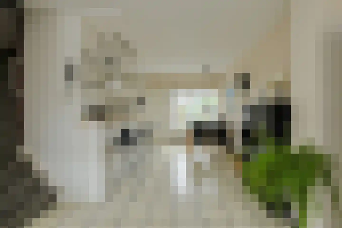Kwartelstraat 4 Oosterhout thumbnail 12