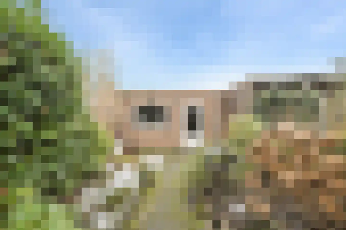 Kwartelstraat 4 Oosterhout thumbnail 31