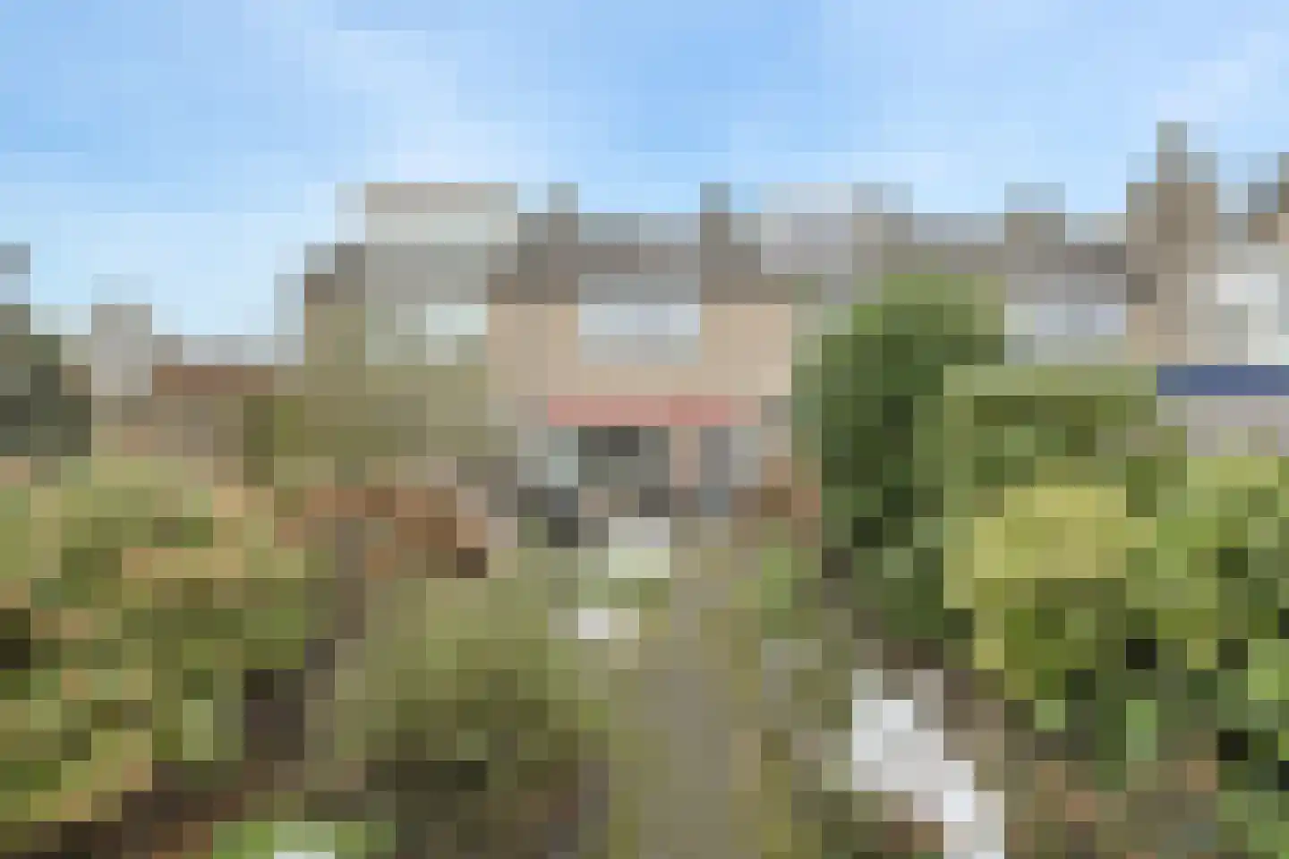 Kwartelstraat 4 Oosterhout thumbnail 32