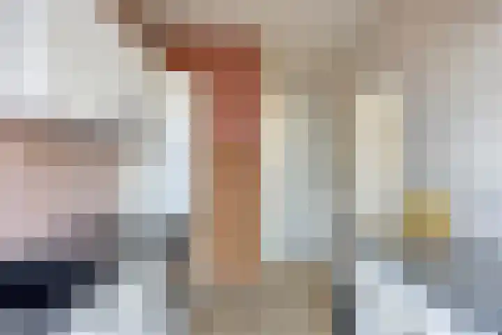 Kwartelstraat 4 Someren thumbnail 10