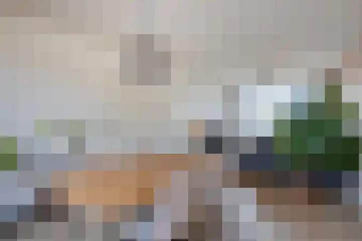 Kwartelstraat 4 Someren thumbnail 4
