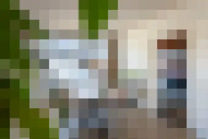 Kwartelstraat 4 Someren thumbnail 6