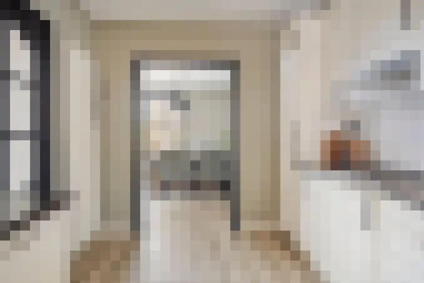 Kwartelstraat 40 Goor thumbnail 13