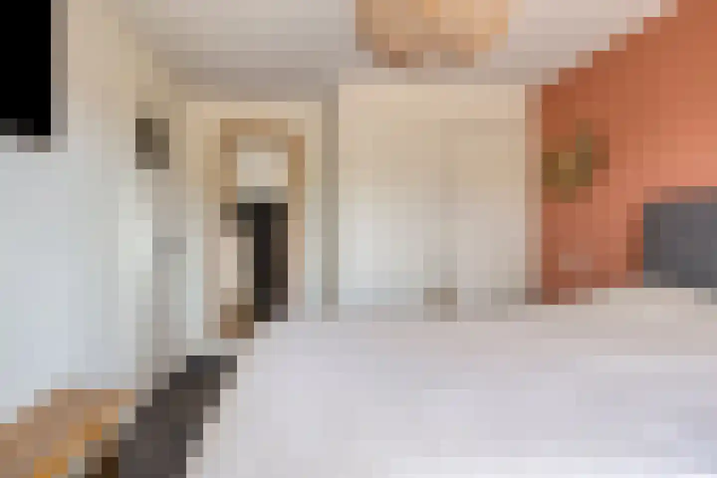 Kwartelstraat 40 Goor thumbnail 17