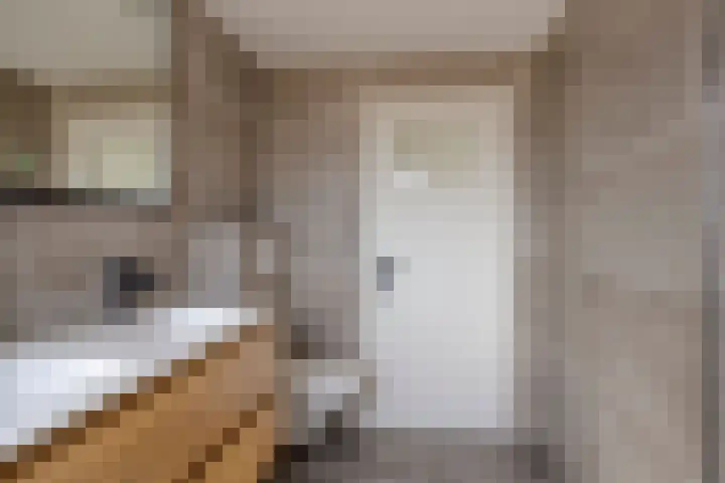 Kwartelstraat 40 Goor thumbnail 19