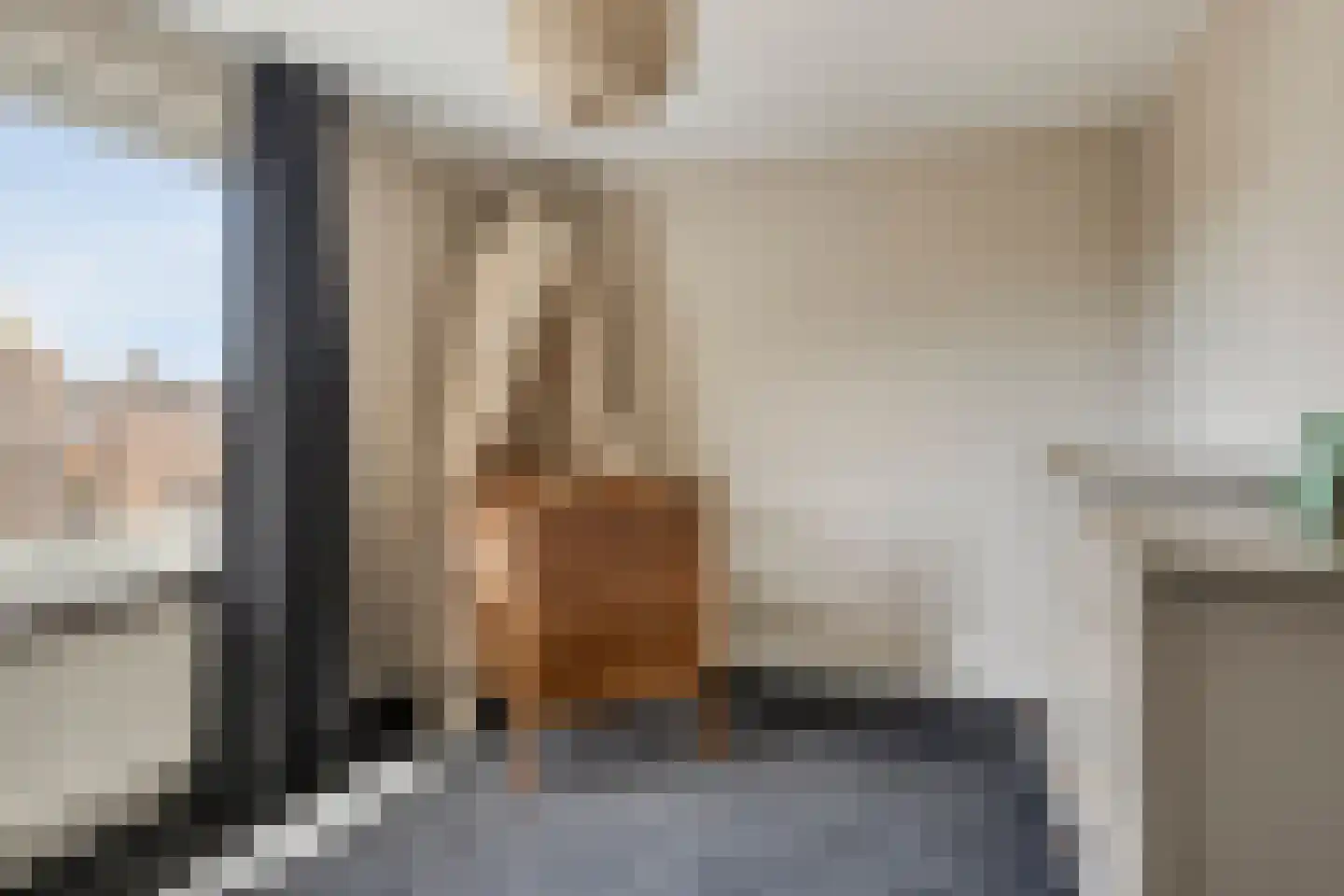 Kwartelstraat 40 Goor thumbnail 21