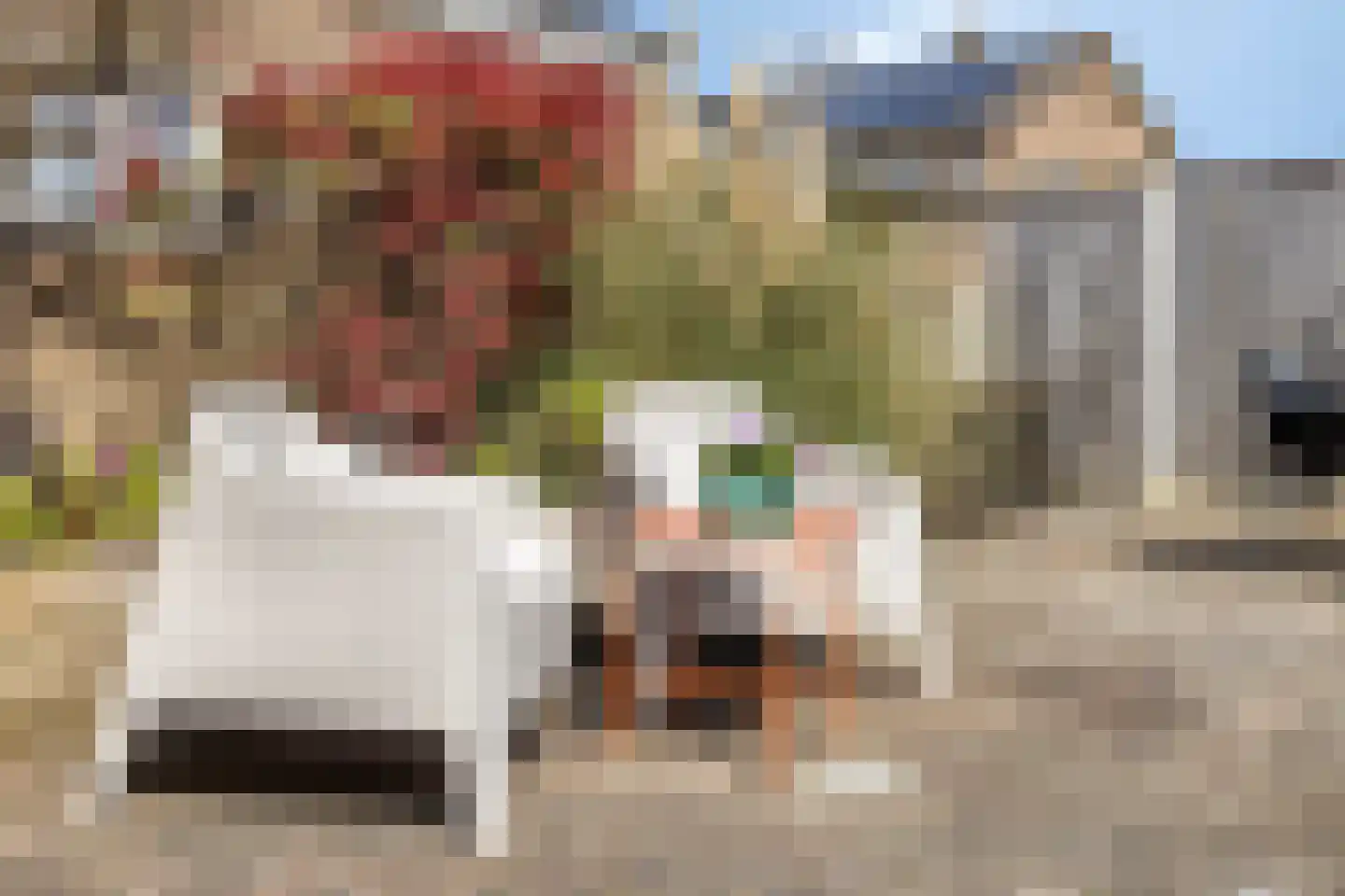 Kwartelstraat 40 Goor thumbnail 28