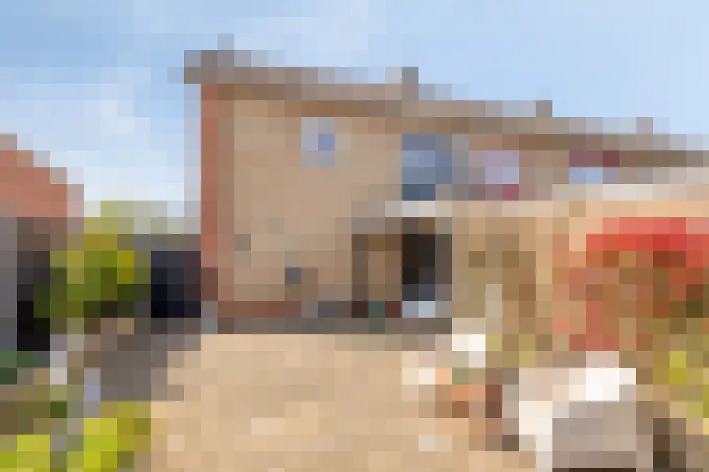 Kwartelstraat 40 Goor thumbnail 32
