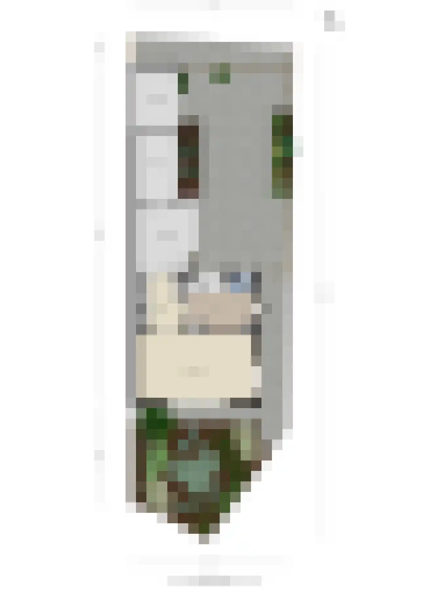 Kwartelstraat 40 Goor thumbnail 38