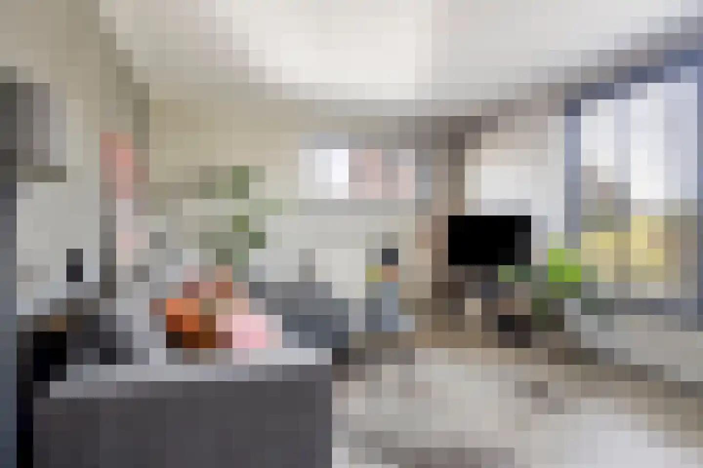Kwartelstraat 40 Goor thumbnail 5