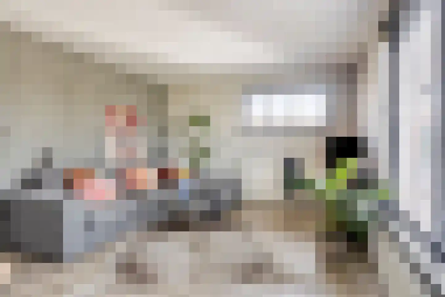 Kwartelstraat 40 Goor thumbnail 6