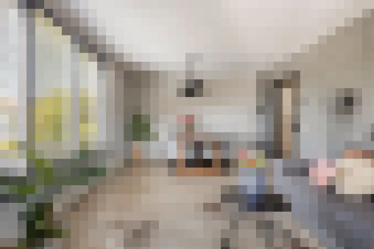 Kwartelstraat 40 Goor thumbnail 7