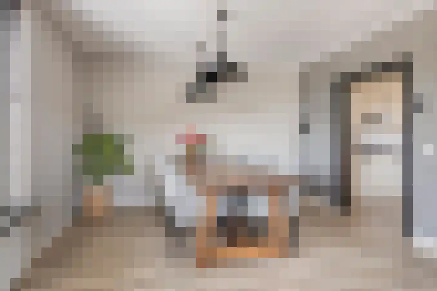 Kwartelstraat 40 Goor thumbnail 9