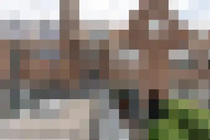 Kwartelstraat 48 Leeuwarden thumbnail 68